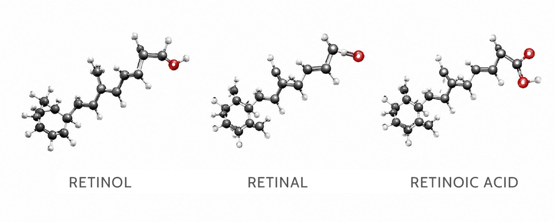Retinol, retinal and retinoic acid 3D structures